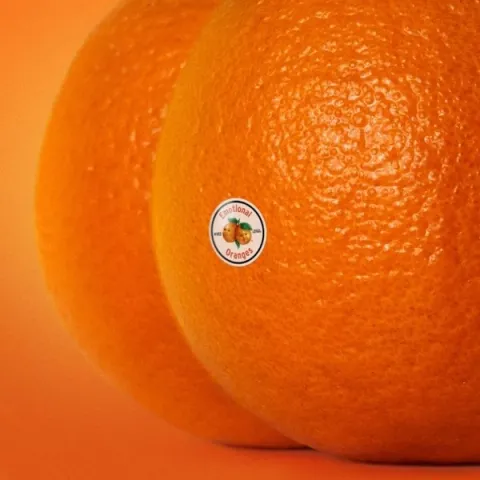 Emotional Oranges — Heal My Desires cover artwork