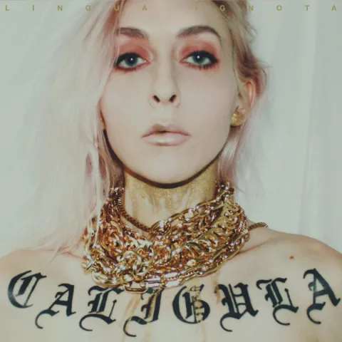 LINGUA IGNOTA — Butcher of the World cover artwork