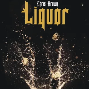 Chris Brown — Liquor cover artwork