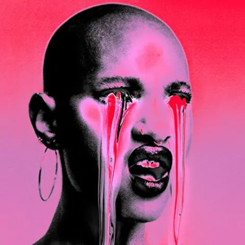 WILLOW <maybe> it's my fault cover artwork