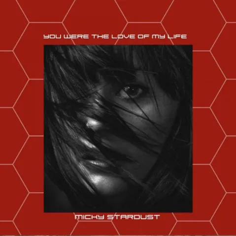 Micky Stardust — You Were the Love of My Life cover artwork