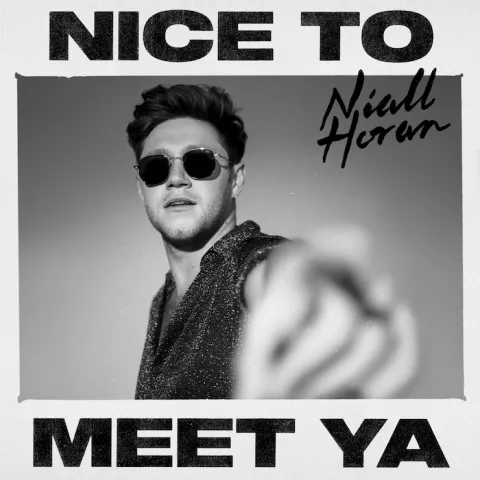 Niall Horan — Nice To Meet Ya cover artwork