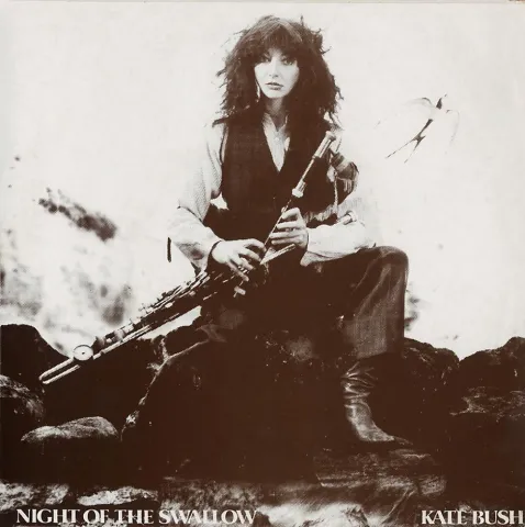 Kate Bush — Night of the Swallow cover artwork
