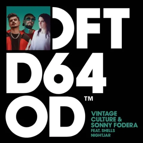 Vintage Culture & Sonny Fodera featuring SHELLS — Nightjar cover artwork