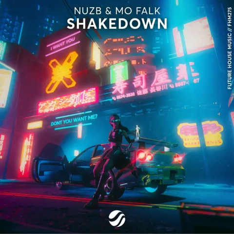 NUZB & Mo Falk — Shakedown cover artwork