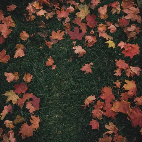 girl in red October Passed Me By cover artwork