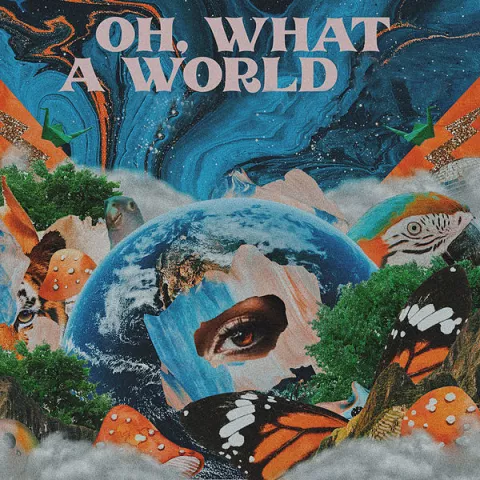 Kacey Musgraves — Oh, What a World cover artwork