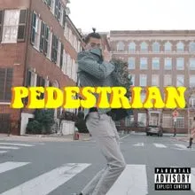 Courtney Barnett — Pedestrian at Best cover artwork