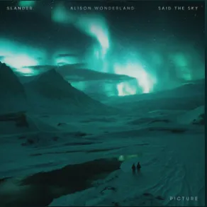 SLANDER, Alison Wonderland, & Said the Sky — Picture cover artwork