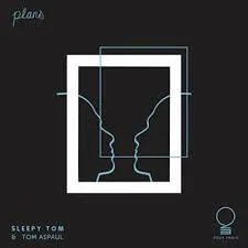Sleepy Tom ft. featuring Tom Aspaul Plans cover artwork