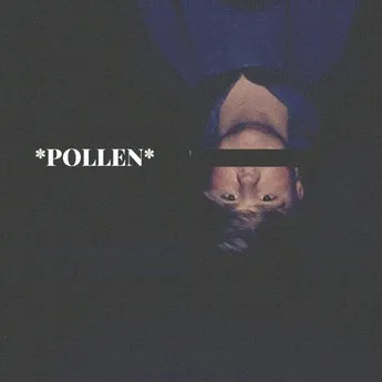 Kid Floral Pollen (Album) cover artwork