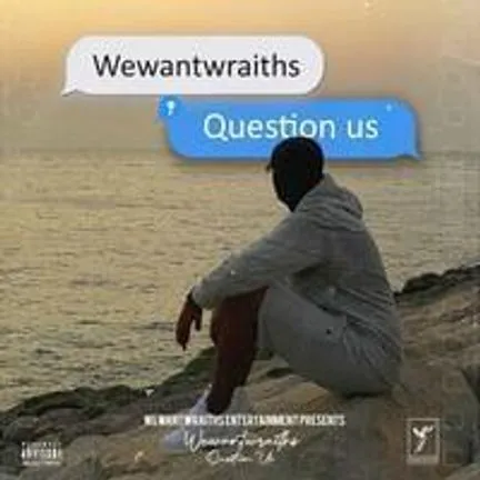 wewantwraiths — Question Us cover artwork