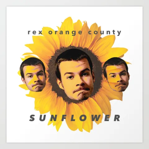 Rex Orange County Sunflower cover artwork
