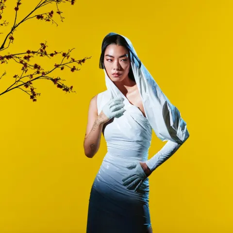 Rina Sawayama — Catch Me in the Air cover artwork
