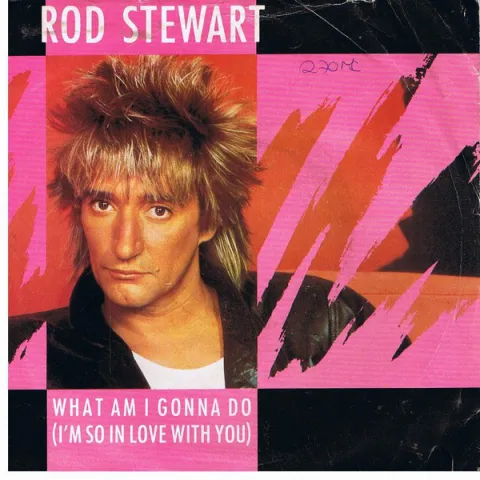 Rod Stewart — What Am I Gonna Do (I&#039;m So in Love with You) cover artwork