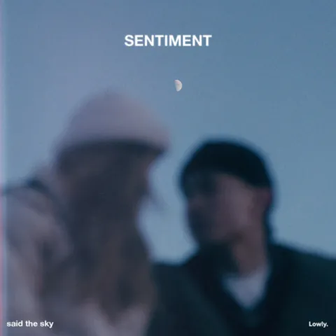 Said the Sky featuring The Maine — Go On Then, Love cover artwork