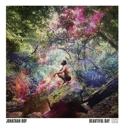 Jonathan Roy — Beautiful Day (Stripped Version) cover artwork