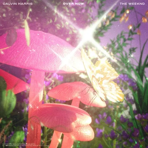Calvin Harris & The Weeknd — Over Now cover artwork