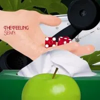 The Feeling — Sewn cover artwork