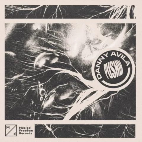 Danny Avila — Pushin cover artwork