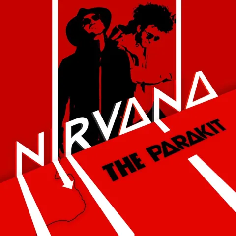 The Parakit — Nirvana (Summer Rework) cover artwork