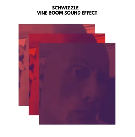 Schwizzle — Vine Boom Sound Effect cover artwork