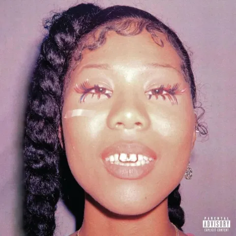 Drake & 21 Savage featuring Travis Scott — Pussy &amp; Millions cover artwork