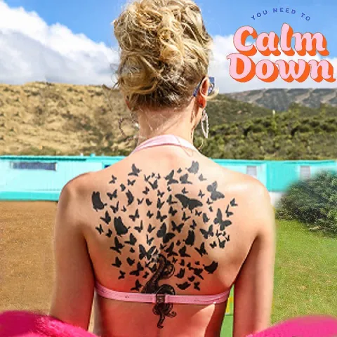 Taylor Swift You Need To Calm Down cover artwork