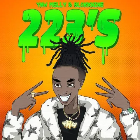 YNW Melly ft. featuring 9lokknine 223&#039;s cover artwork