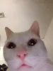 movingthat’s avatar