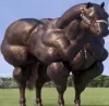 b-b-b-bonk’s avatar